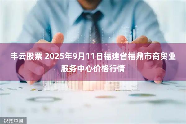 丰云股票 2025年9月11日福建省福鼎市商贸业服务中心价格行情