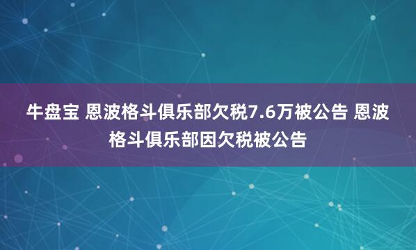 牛盘宝 恩波格斗俱乐部欠税7.6万被公告 恩波格斗俱乐部因欠税被公告