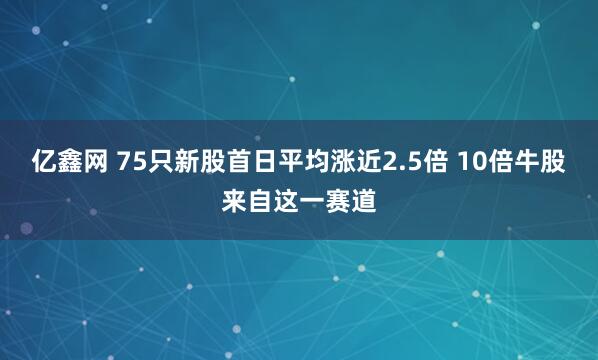 亿鑫网 75只新股首日平均涨近2.5倍 10倍牛股来自这一赛道