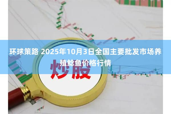环球策路 2025年10月3日全国主要批发市场养殖鲶鱼价格行情