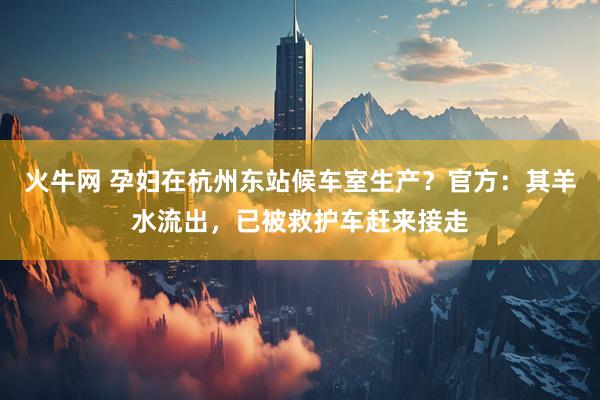 火牛网 孕妇在杭州东站候车室生产？官方：其羊水流出，已被救护车赶来接走