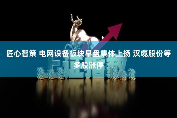 匠心智策 电网设备板块早盘集体上扬 汉缆股份等多股涨停